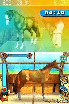 Horsez (USA) (En,Fr,Es) screen shot game playing